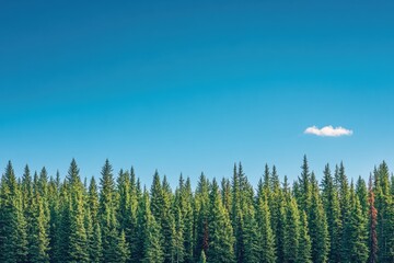 Lush forest line against a clear blue sky