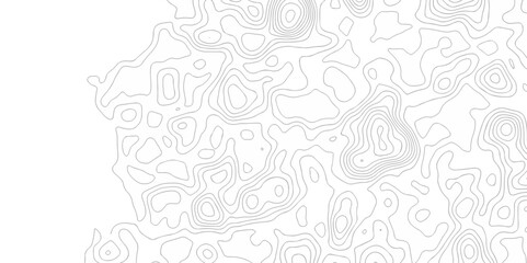 Abstract minimal The patter discovery vector topo map creative discovery White wave grid stripe line map topography. vector geographic contour mounted map background.	

