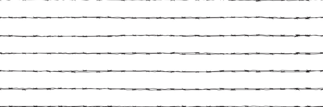 Lines of barbwire as a seamless bg. Black razor wire on white background. No entry security concept. Army camp. Jail fence. Vector illustration