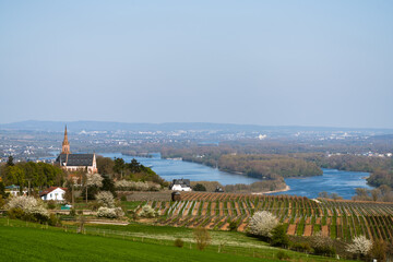 Rochusberg, April 2025