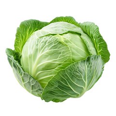 Obraz premium Fresh green cabbage on Transparent Background