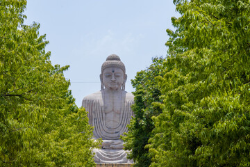 Great buddha statue near mahabodhi temple in bodh gaya, bihar state of India