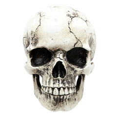 Obraz premium A close up shot of a cracked and weathered human skull against a transparent background in studio lighting