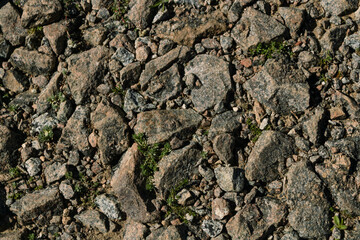 Granite gravel road with growing plants in sunlight