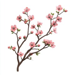 Delicate Pink Blossom Branch Spring Flowering Tree Isolated on White Background