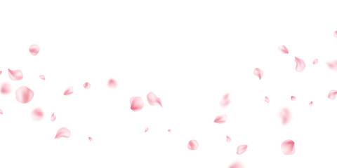 Pastel pink petals falling on abstract floral background with beautiful petal greeting card design. Vector illustration.