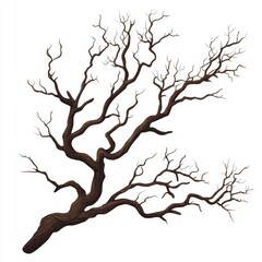 Fototapeta premium Winter Bare Tree Branches Dark Brown Isolated on White Background Nature Illustration Graphic