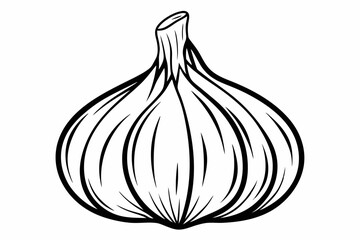 coloring page line art the garlic black vector