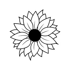 A detailed Sunflower close up silhouette