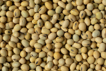 Organic raw soybeans close-up, vegan superfood, top view