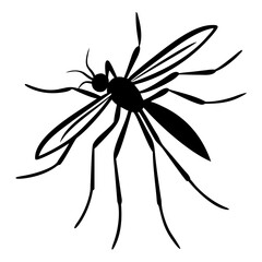 Silhouette of mosquito 