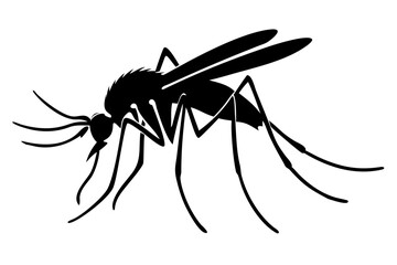 Silhouette of mosquito 