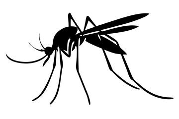 Silhouette of mosquito 