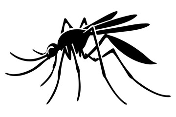 Silhouette of mosquito 