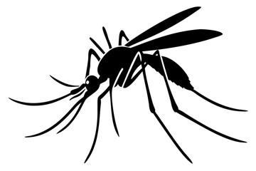 Silhouette of mosquito 