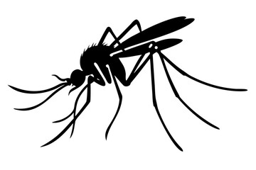 Silhouette of mosquito 