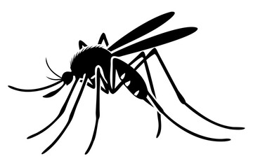 Silhouette of mosquito 