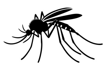 Silhouette of mosquito 