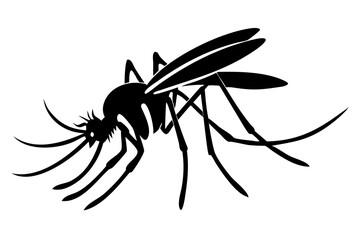 Silhouette of mosquito 