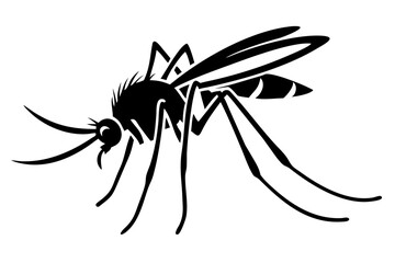 Silhouette of mosquito 