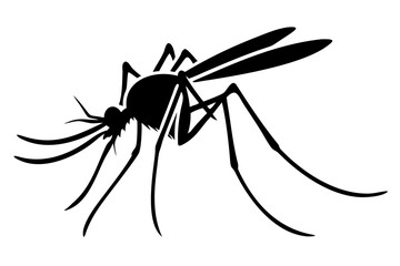 Silhouette of mosquito 