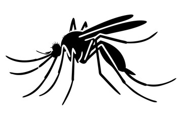 Silhouette of mosquito 