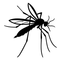 Silhouette of mosquito 