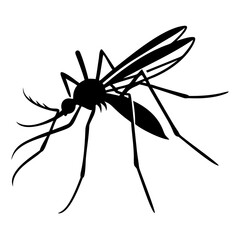 Silhouette of mosquito 