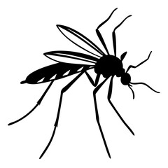 Silhouette of mosquito 