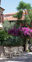 vivid photographs in nature taken on summer day on Cunda Island. Pink bougainvillea tree. White, ecru, cream colored chairs, doors, walls. Vintage designs for restaurants, cafes in touch with nature