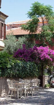 vivid photographs in nature taken on summer day on Cunda Island. Pink bougainvillea tree. White, ecru, cream colored chairs, doors, walls. Vintage designs for restaurants, cafes in touch with nature