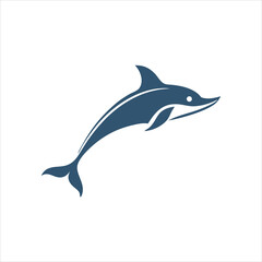 Fototapeta premium dolphin isolated on white background