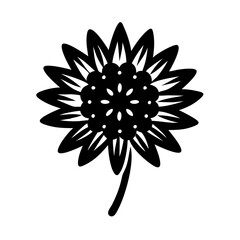 Blank Black Image No Content Empty Void Darkness Absence of Color Pure Black Background