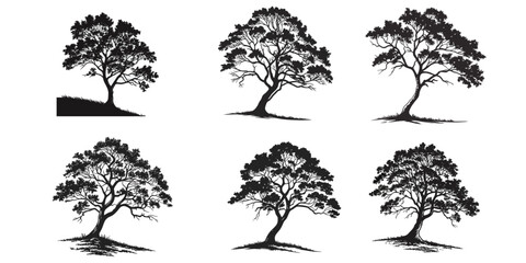 Collection Of Black Trees Nature Landscape Illustration Multiple Objects Vector Design Isolated On White Background 