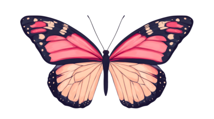 Butterfly with pink and tan wings, nature insect wildlife, cut out transparent