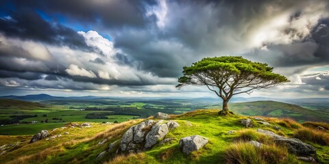 Miniature Cloudy Sky, Lone Tree Hill, Ards Forest Park, Ireland