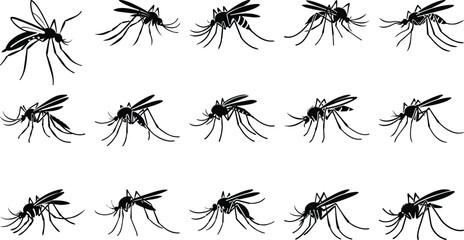Silhouette of mosquito set