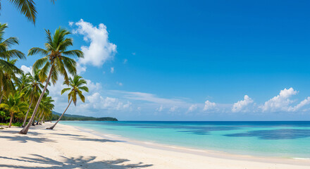 Stunning Palm-Lined Beach