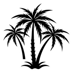 Fototapeta premium Plam tree silhouette on white background