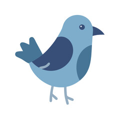 Bird Icon for Education