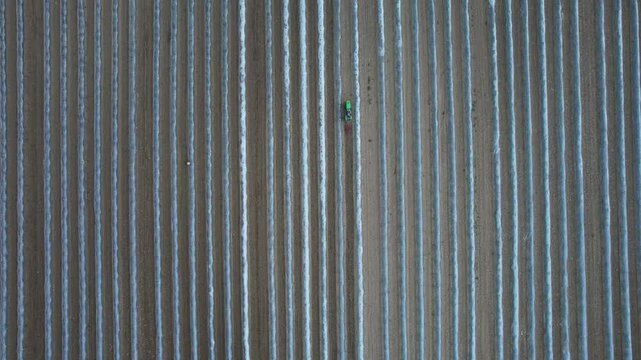 Green agricultural tractor cultivating watermelon field, creating parallel rows using plastic mulch technique with precise machinery, showcasing modern farming practices