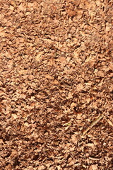 Brown Leaves Forest Floor Ground Dirt Texture Background