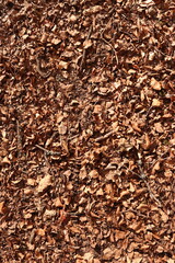 Brown Leaves Forest Floor Ground Dirt Texture Background