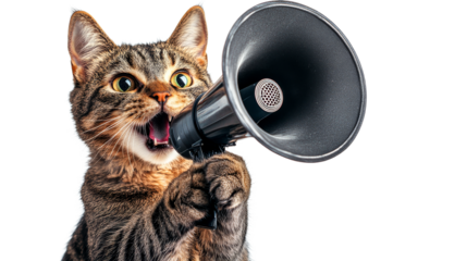 Tabby cat screaming into megaphone, announcement, bullhorn, pet, cut out transparent