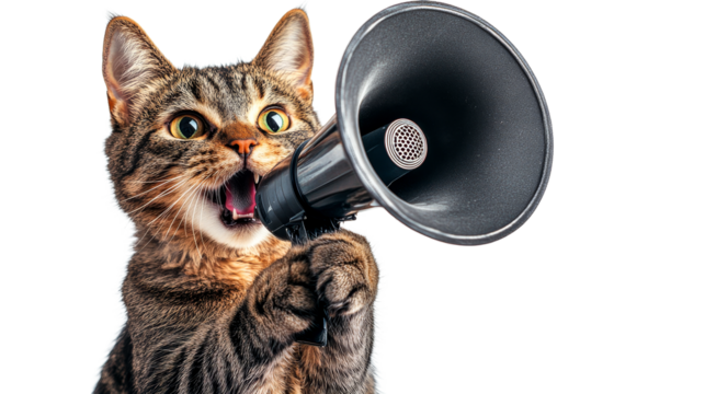 Tabby cat screaming into megaphone, announcement, bullhorn, pet, cut out transparent