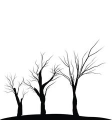 Obraz premium tree silhouette illustration
