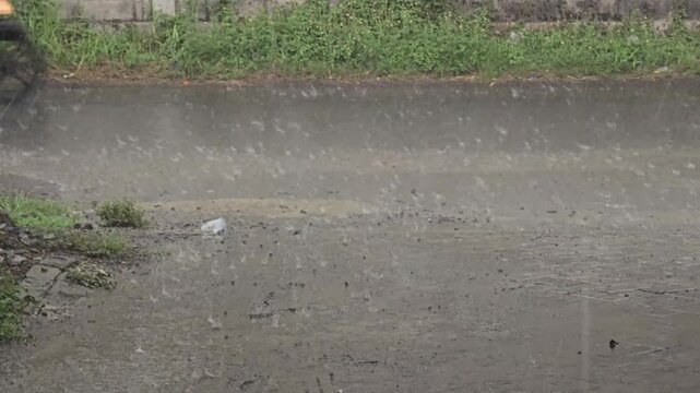 rainy season in tropical areas