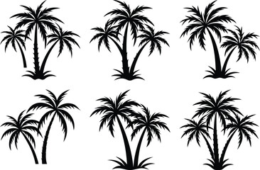 Fototapeta premium plam tree silhouette on white background