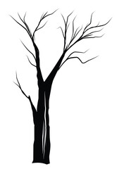 tree silhouette vector