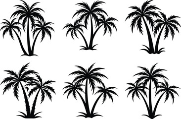 plam tree silhouette on white background